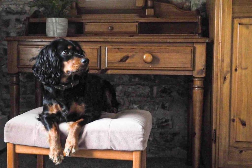 Large Cottage, Beach, Pubs Shops, Netflix, Bbq, Dog Friendly Hunmanby Exterior foto