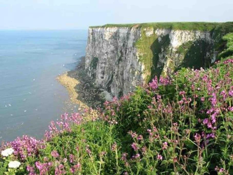 Large Cottage, Beach, Pubs Shops, Netflix, Bbq, Dog Friendly Hunmanby Exterior foto